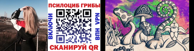 Купить где  Сычёвка  Псилоцибиновые грибы Psilocybine cubensis 
