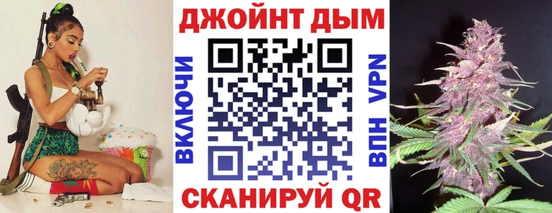 Купить  Сычёвка  Бошки Шишки ГИДРОПОН 
